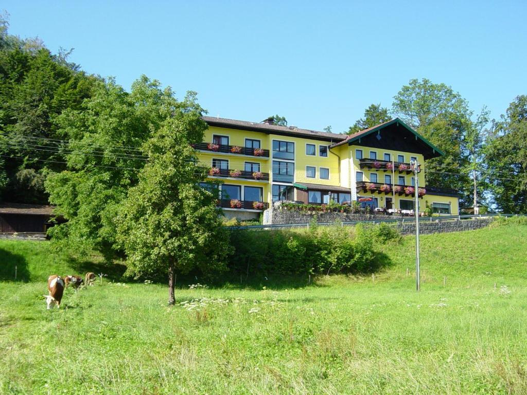 Hotel Zur Schonen Aussicht Übersee Buitenkant foto